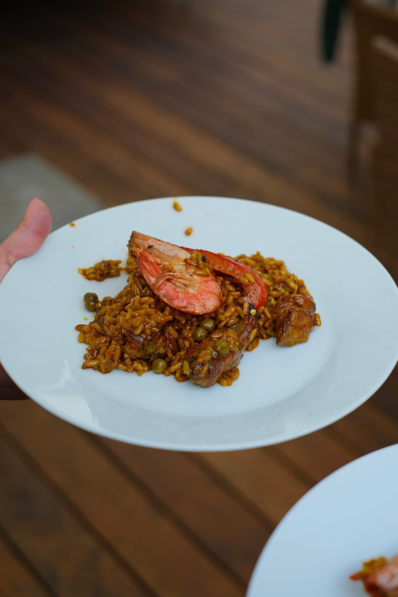 Hospitality & Gastro 16